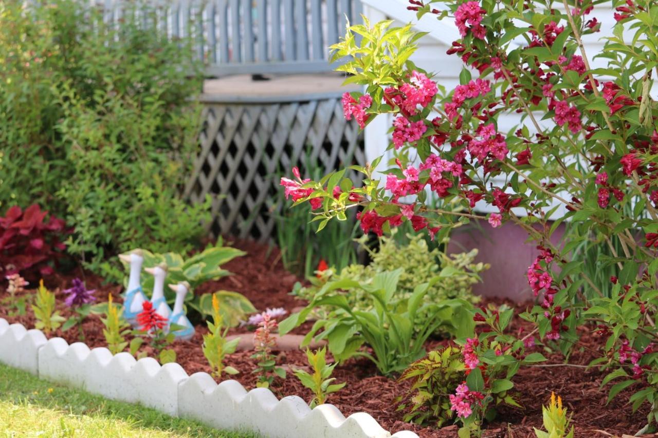 Baker Shore Bed And Breakfast Summerside Esterno foto